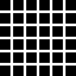 Black Dots Illusion
