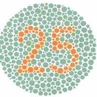 Color Blindness Test 1