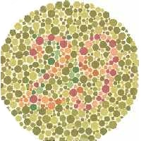 Color Blindness Test 1