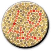 Color Blindness Test 1