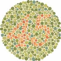 Color Blindness Test 1