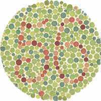 Color Blindness Test 1