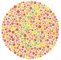 Color Blindness Test 1