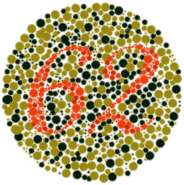 Color Blindness Test 1